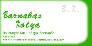 barnabas kolya business card